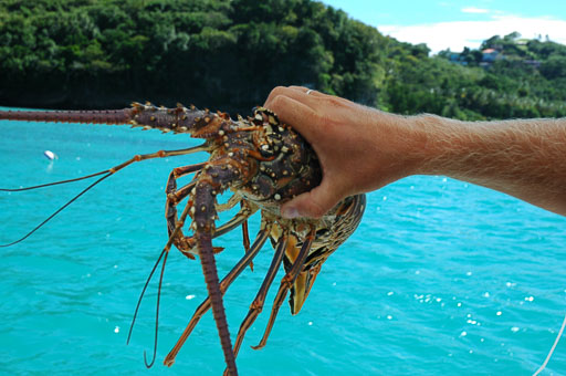 14a-Julefeiring
 Hero