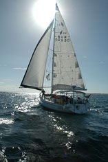 17-Venezuela og  Bonaire
 Hero