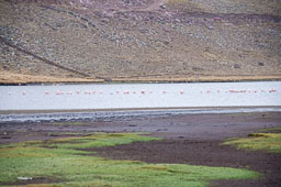 03-Arequipa-Chivay
 Hero