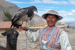 04-Chivay-Colca Canyon
 Hero