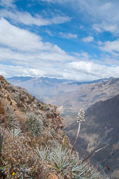 04-Chivay-Colca Canyon
 Hero