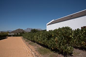 07-Babylonstoren og Franschhoek
 Hero