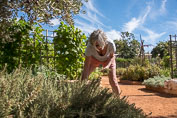 07-Babylonstoren og Franschhoek
 Hero