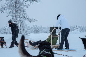 03 Huskysledging
 Hero