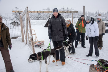 03 Huskysledging
 Hero