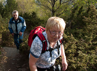 Harry 10.10.1946 - 9.11.2023
 Hero