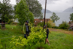 04-Kaupanger og Frønningen
 Hero