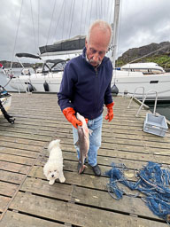 02-Ytre Sognefjord til Balestrand
 Hero